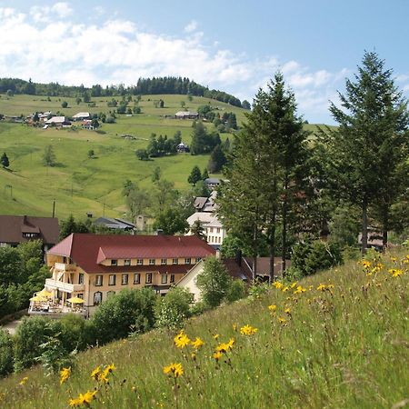 Gruener Baum Naturparkhotel & Schwarzwald-Restaurant Todtnau Exteriör bild