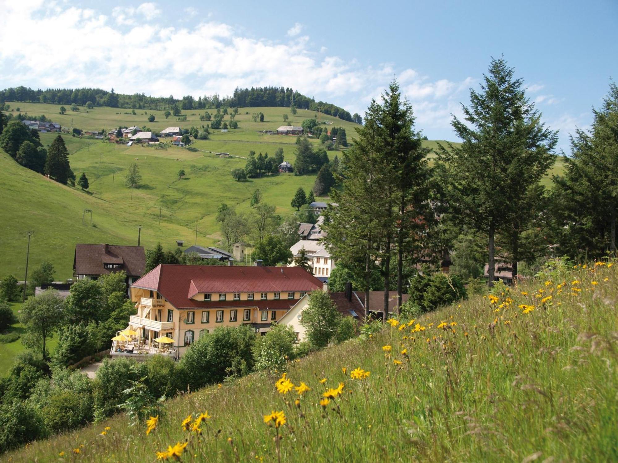 Gruener Baum Naturparkhotel & Schwarzwald-Restaurant Todtnau Exteriör bild