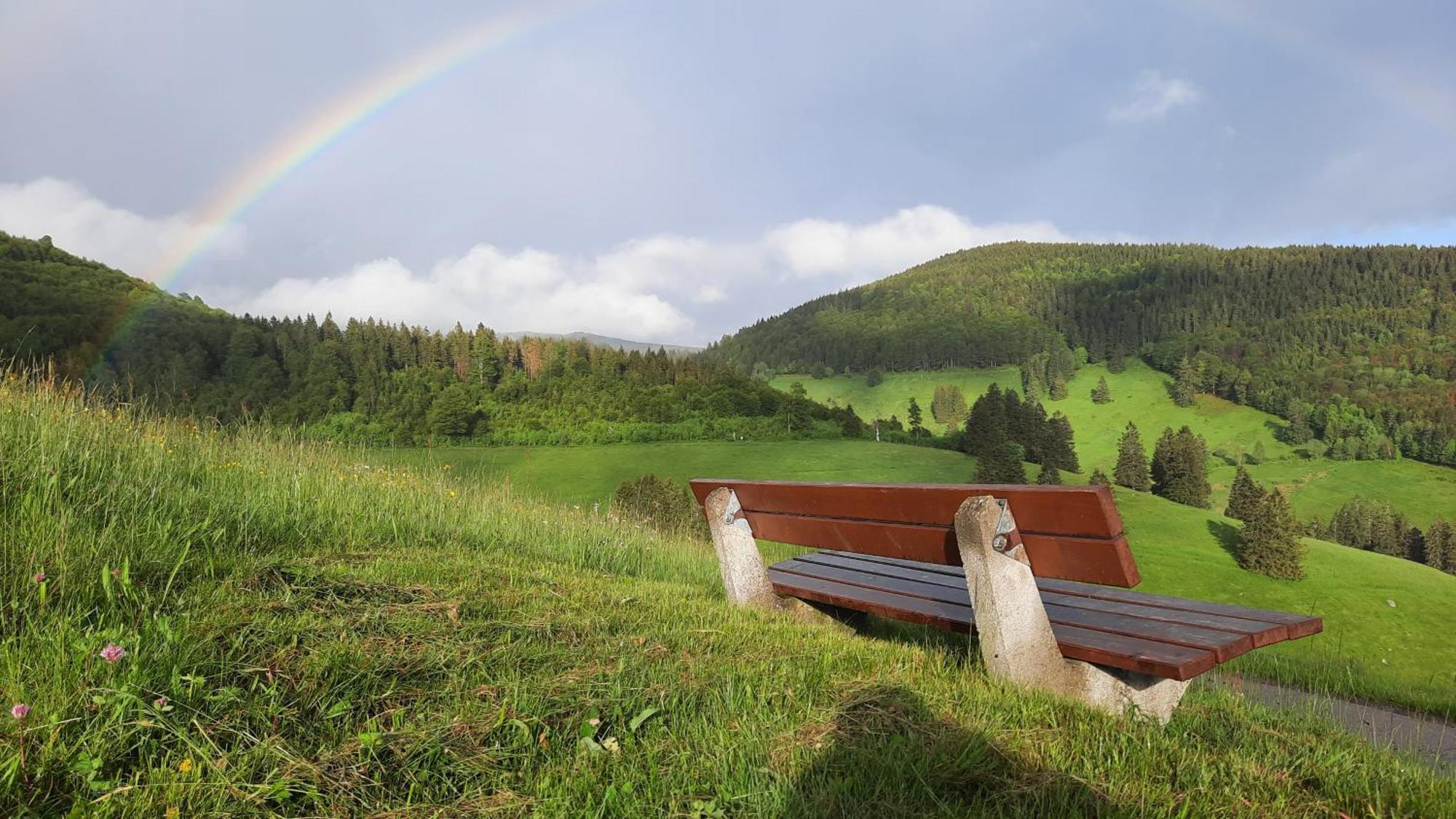 Gruener Baum Naturparkhotel & Schwarzwald-Restaurant Todtnau Exteriör bild