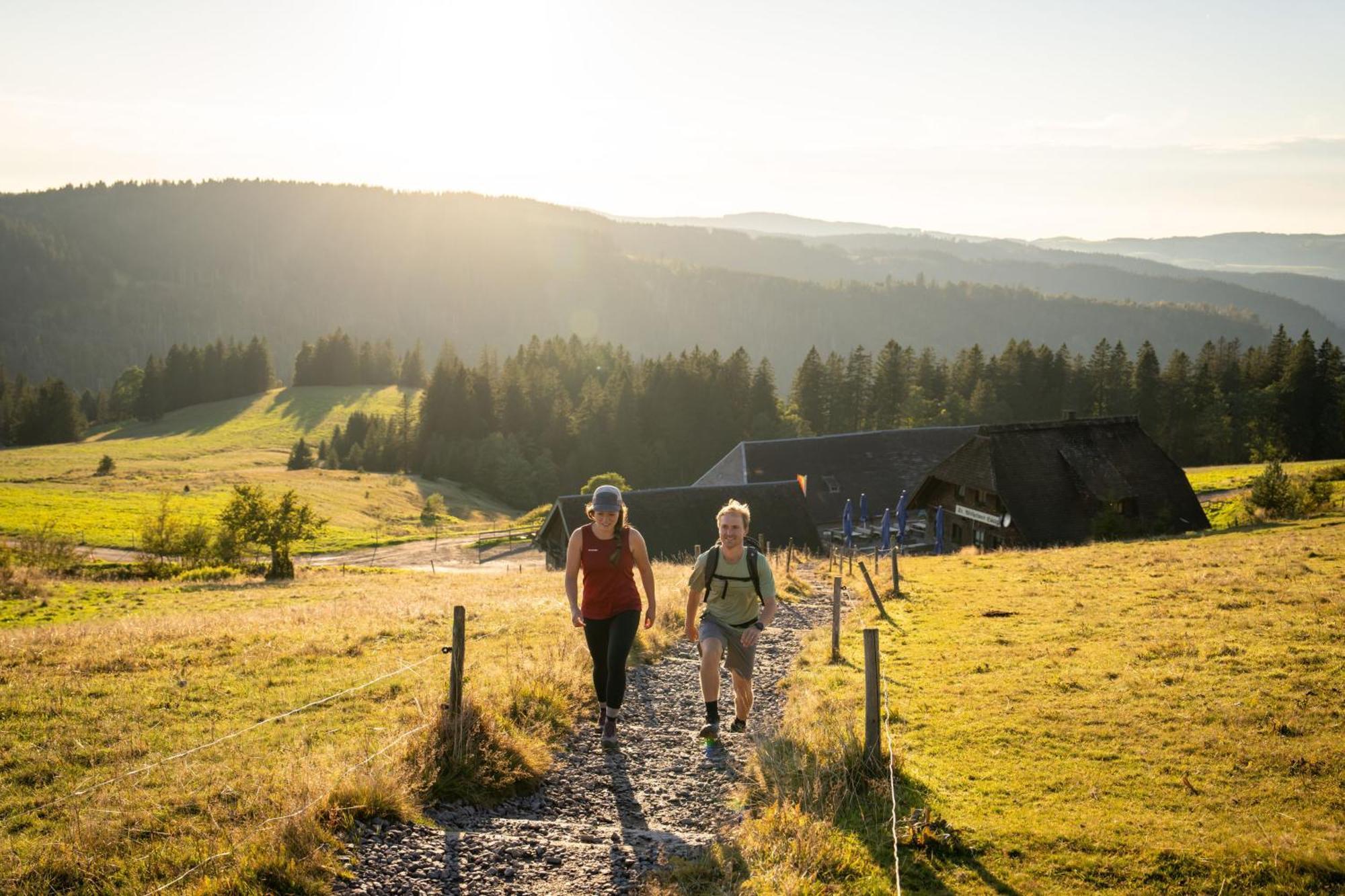 Gruener Baum Naturparkhotel & Schwarzwald-Restaurant Todtnau Exteriör bild