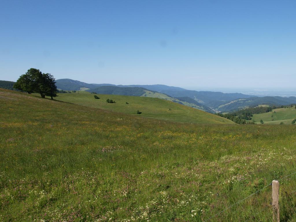 Gruener Baum Naturparkhotel & Schwarzwald-Restaurant Todtnau Exteriör bild