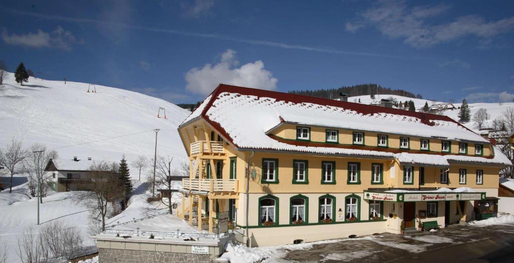 Gruener Baum Naturparkhotel & Schwarzwald-Restaurant Todtnau Exteriör bild
