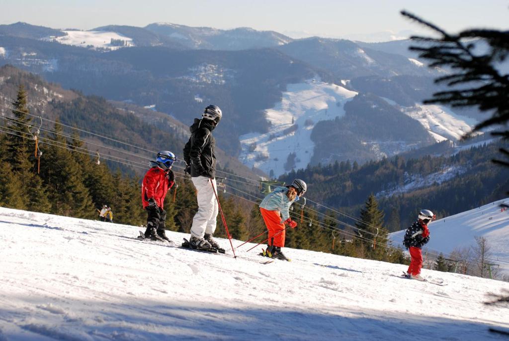 Gruener Baum Naturparkhotel & Schwarzwald-Restaurant Todtnau Exteriör bild