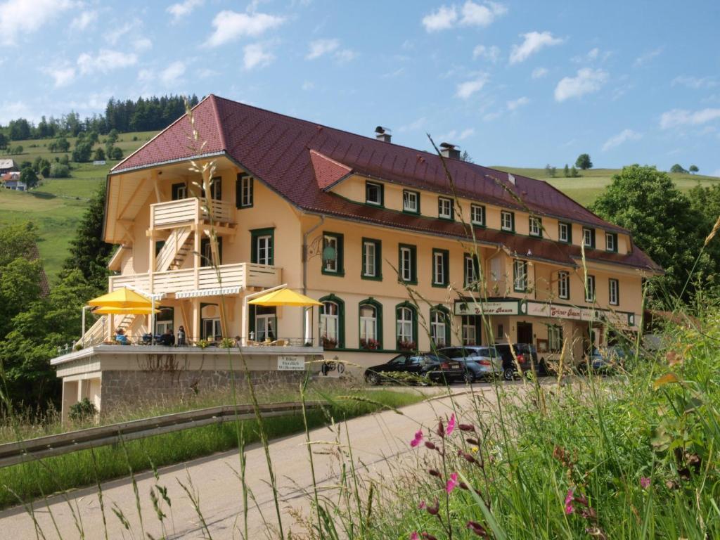 Gruener Baum Naturparkhotel & Schwarzwald-Restaurant Todtnau Exteriör bild