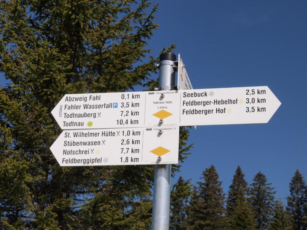 Gruener Baum Naturparkhotel & Schwarzwald-Restaurant Todtnau Exteriör bild
