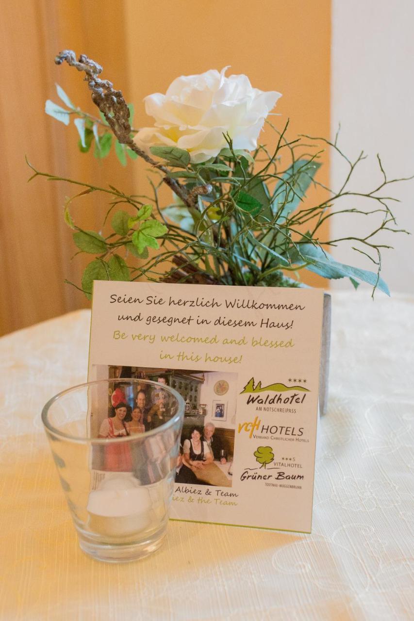 Gruener Baum Naturparkhotel & Schwarzwald-Restaurant Todtnau Exteriör bild